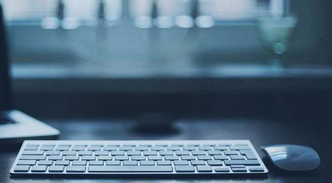 港丰财税业务板块