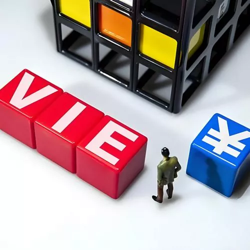 VIE架构搭建